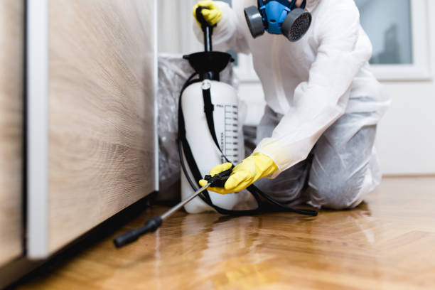 Best Affordable Pest Control Services  in Fairview, GA