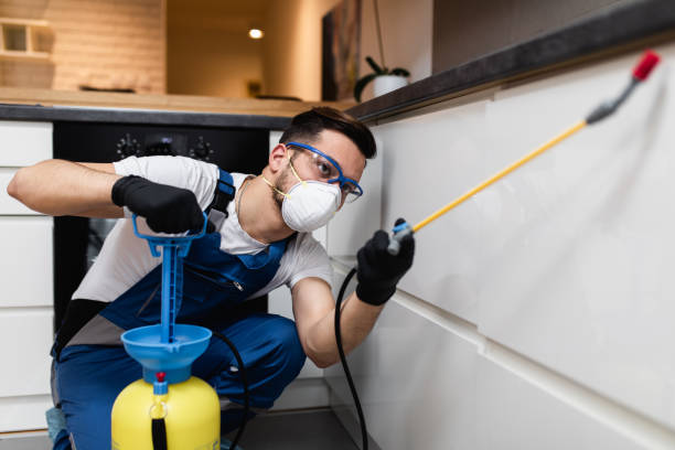 Best Wildlife Control Services  in Fairview, GA