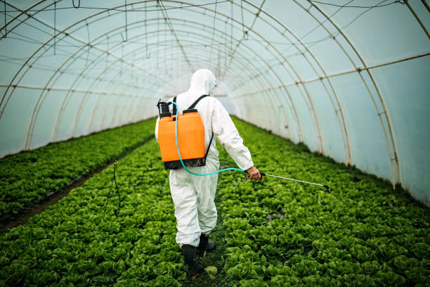 Best Best Pest Control Companies  in Fairview, GA