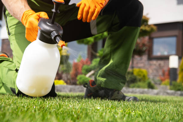 Best Commercial Pest Control Services  in Fairview, GA