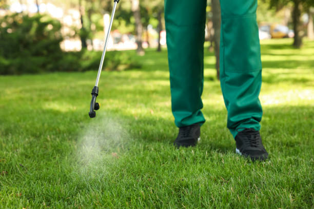 Best Wasp Removal Services  in Fairview, GA