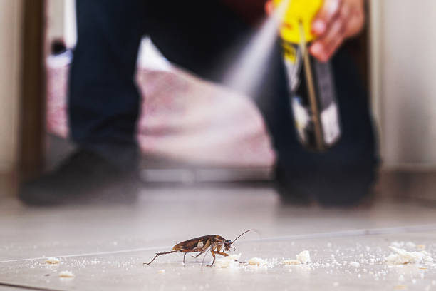 Best Cockroach Control Services  in Fairview, GA